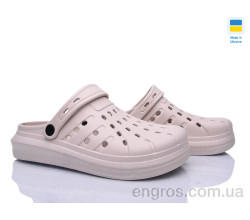 Кроксы Golden Lion